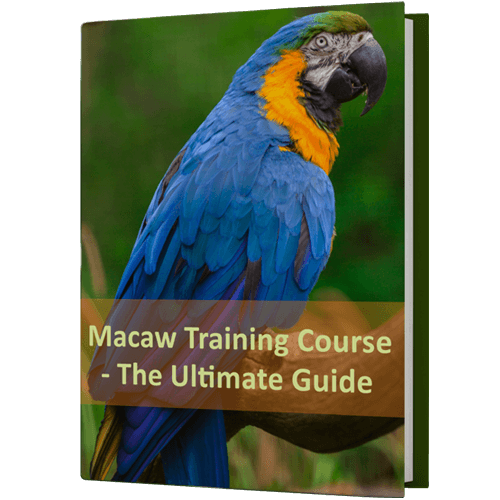 http://FreeBook-Macaw