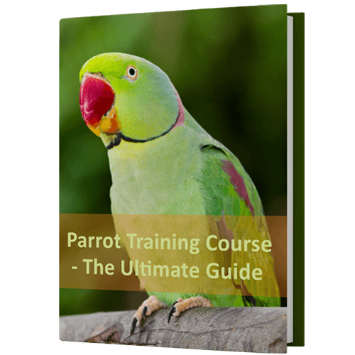 FreeBook-Parrot